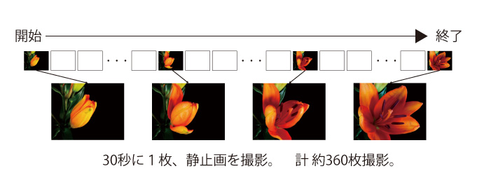 TL-1：タイムラプス機能